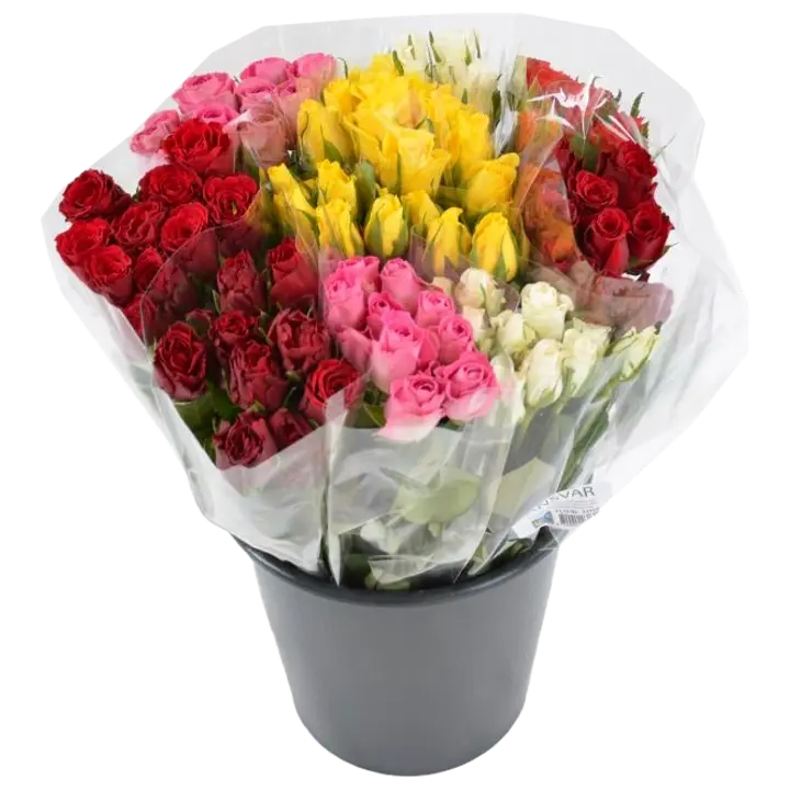 Ruusu 9kpl, 50cm, punainen, lahjakääre