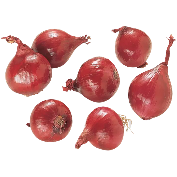 Lassi Partanen punasipuli irto