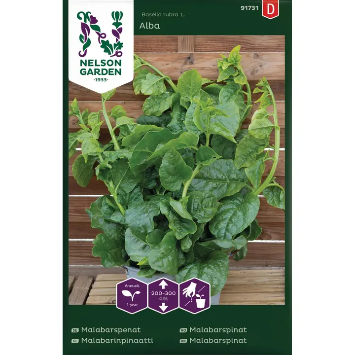 91731 india spinat alba