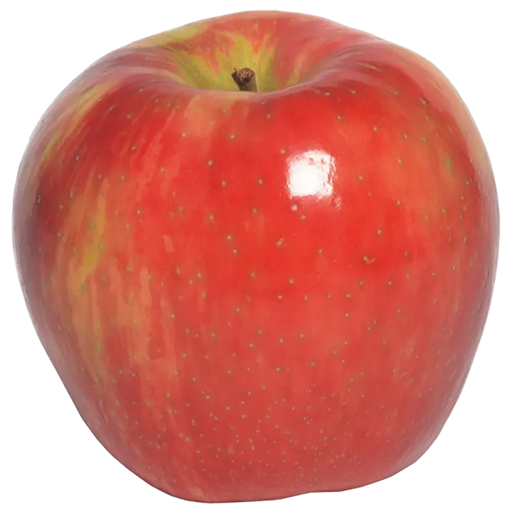 Õun Honey Crunch I klass