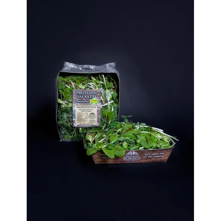 Robbes Lilla Trädgård Proteiinisalaatti 80g