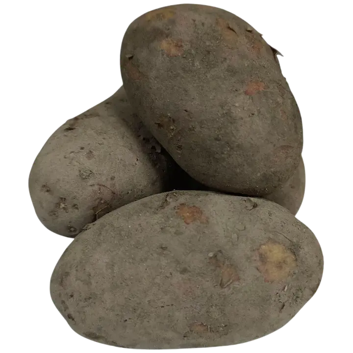 Kartul punane pesemata Eesti kg