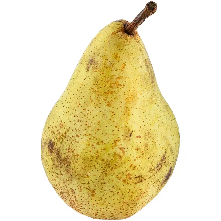 Päärynä Abate Fetel