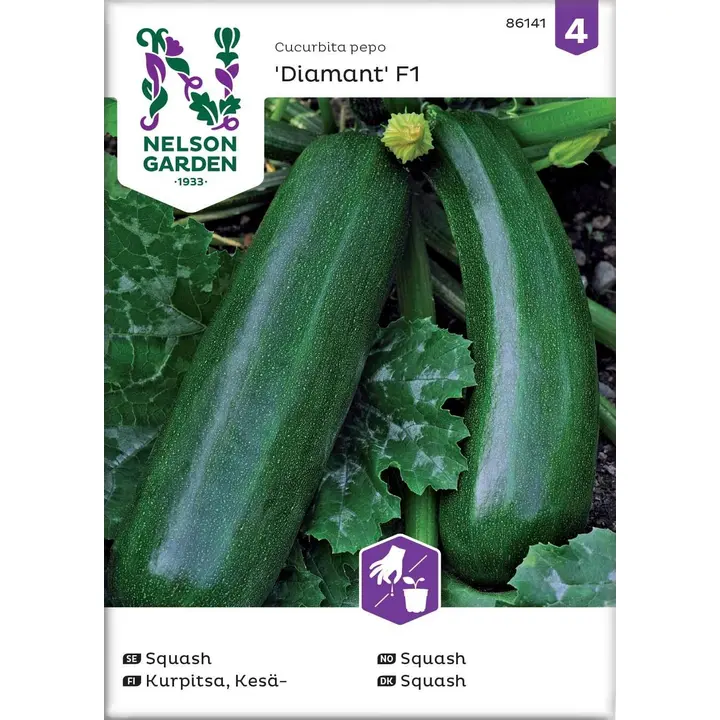 86141 suvikõrvits zucchini/diamant f1