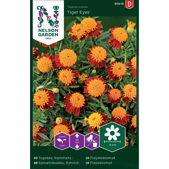 95619 tagetes ryhmä-, tiger eyes