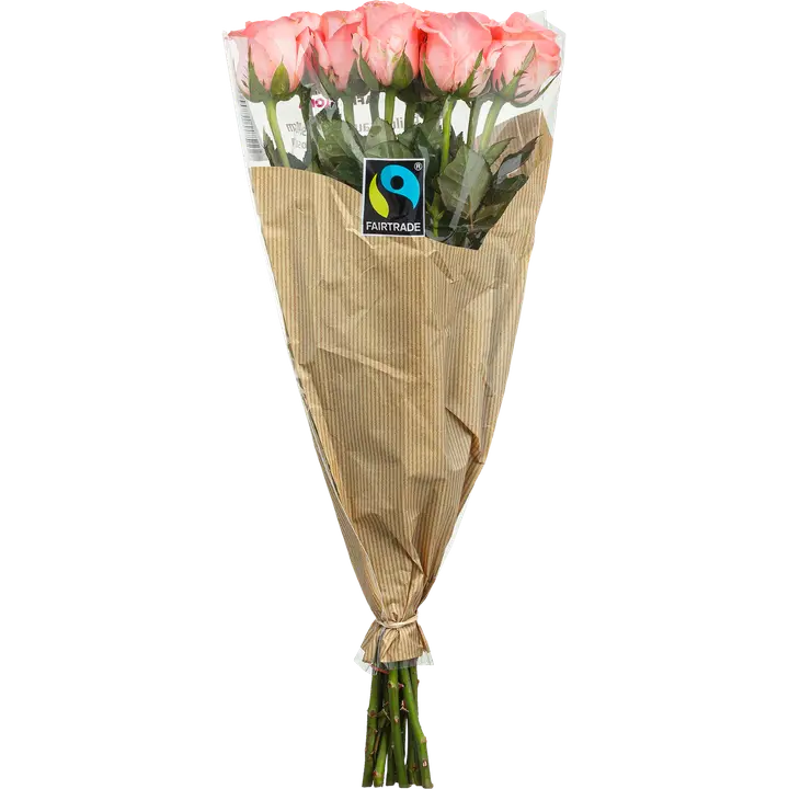Afriflora Reilun Kaupan ruusu 10kpl, värilajitelma, 40cm