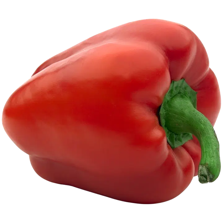 Fresh Paprika punainen, pakattu