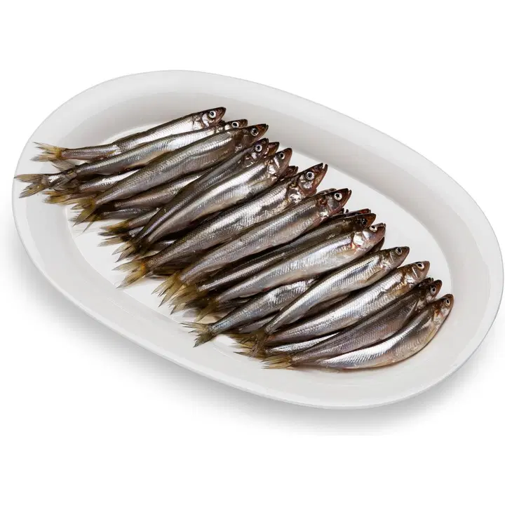 Hätälä Norssi n10kg