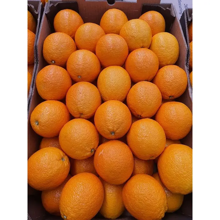 Coop Appelsiini Valencia Late