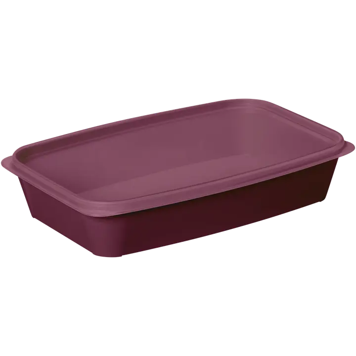 SmartStore ruoansäilytysrasia Easy 1,2 L