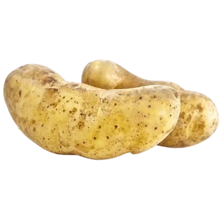 Lapin puikulaperuna