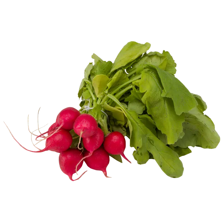Retiisinippu 150g