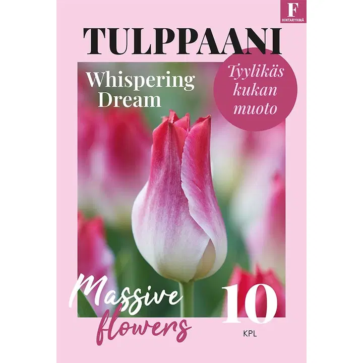 Tulppaani, Tulipa Whispering Dream 11/12, 10kpl