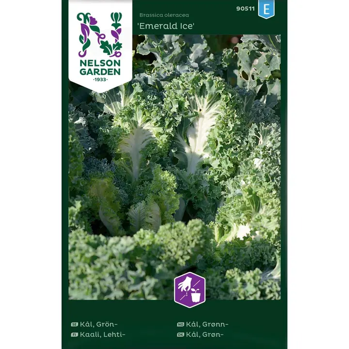 90511 kale emerald ice