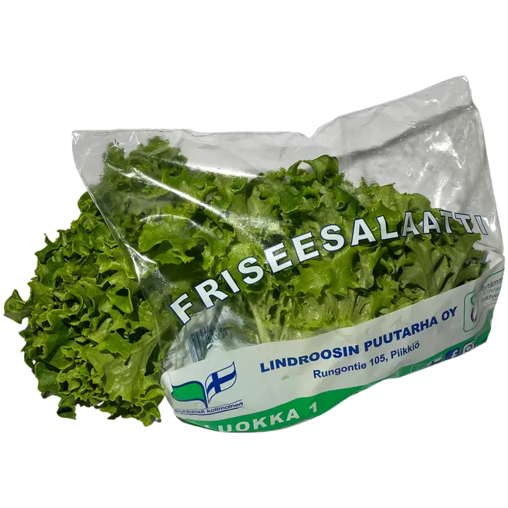 FRISEESALAATTI