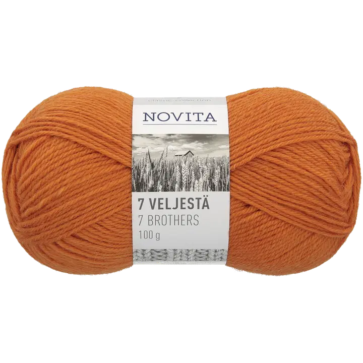 Novita garn 7 Veljestä 100g 273