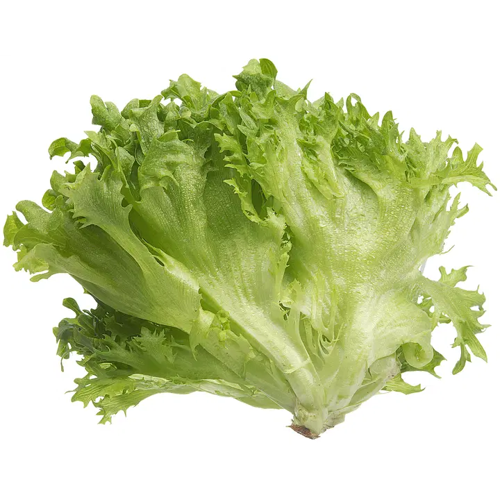 Jääsalaattipussi 100 g