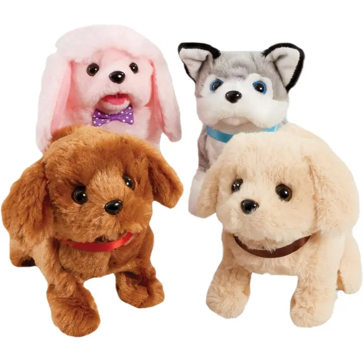 Happy Pets Playful Kutsik