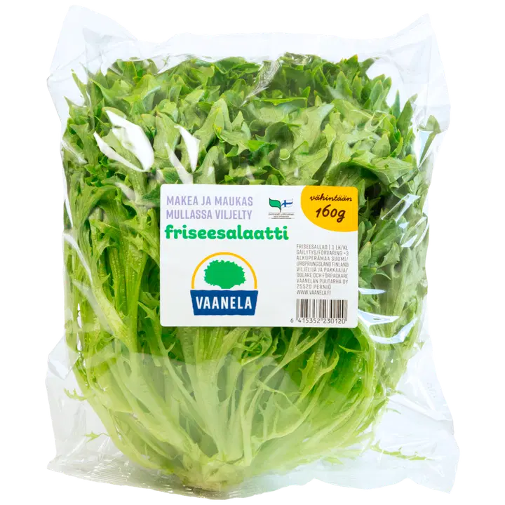 Vaanelan Puutarha friseesalaatti makea 160 g