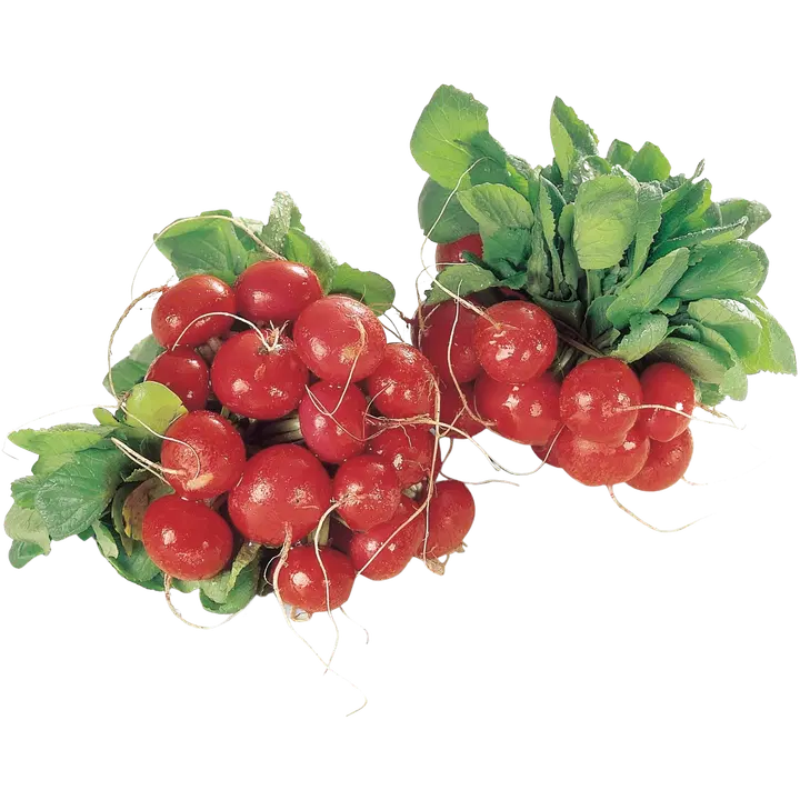 Hinjärv retiisirasia 200 g