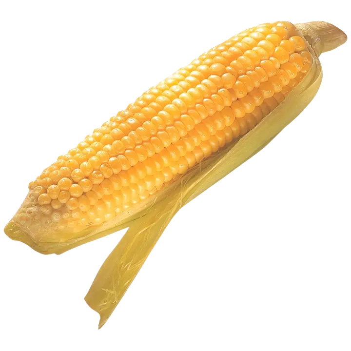 Maissi tuore 400g