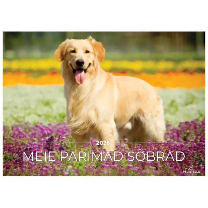 MEIE PARIMAD SÕBRAD 2026