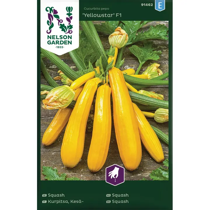 91462 suvikõrvits yellowstar f1