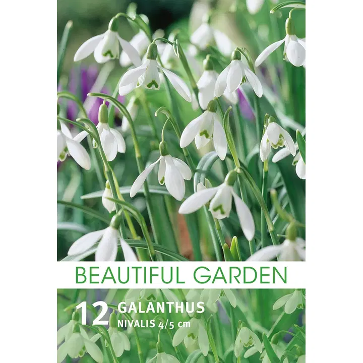 Lumikello Ikarea 12kpl