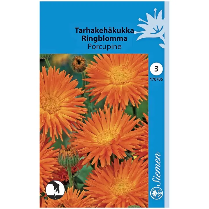 Tarhakehäkukka Porcupine