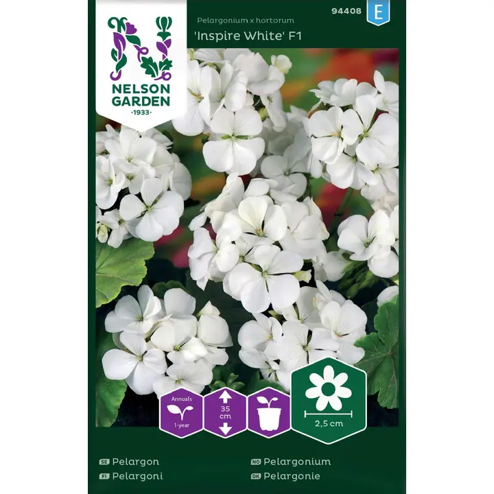 94408 pelargoon inspire white f1
