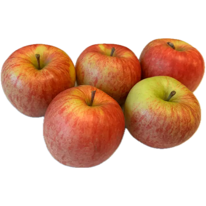 Rahkosen omena, Makali