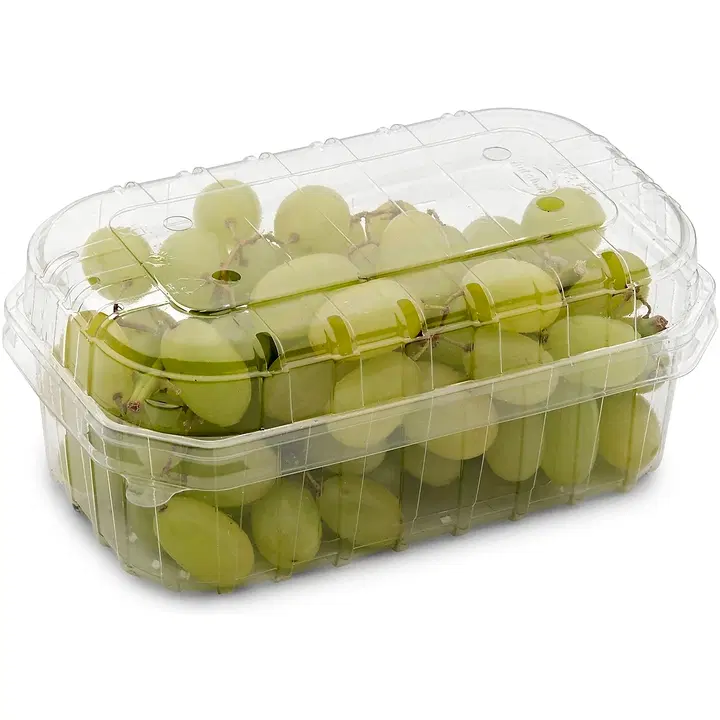 Rypäle vihreä siemenetön