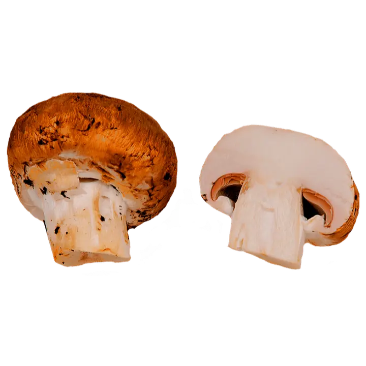 Šampinjon pruun 250g