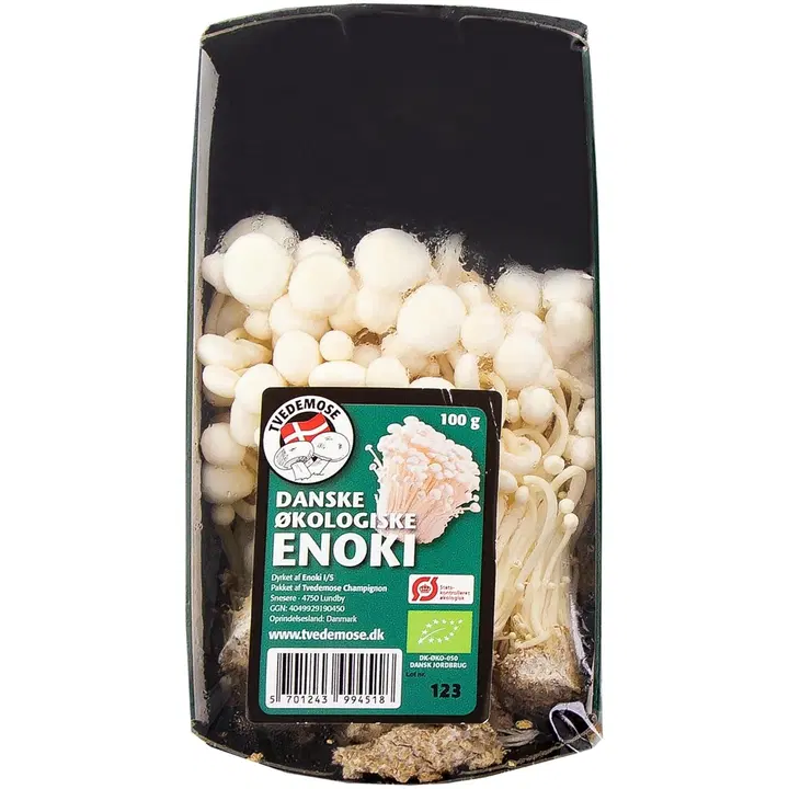 Enokisieni