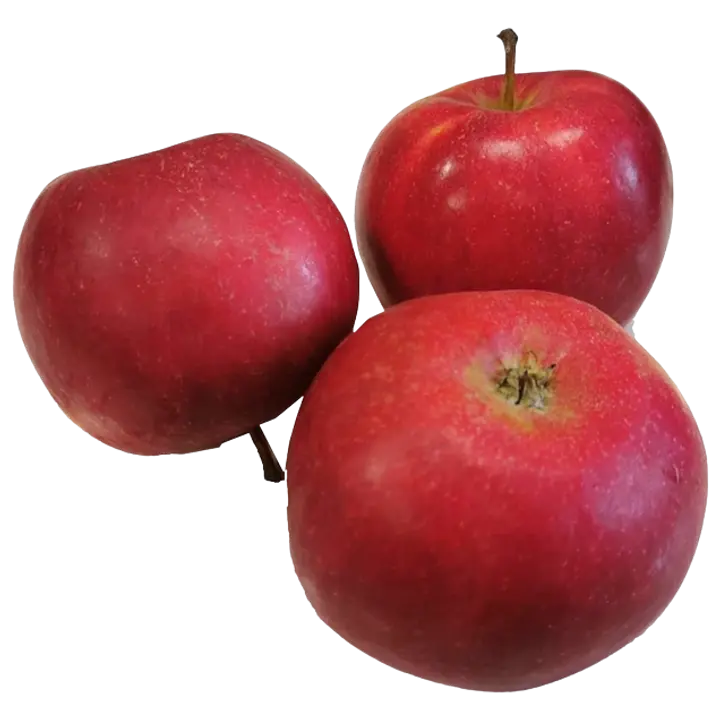 Õun  Paulared I klass