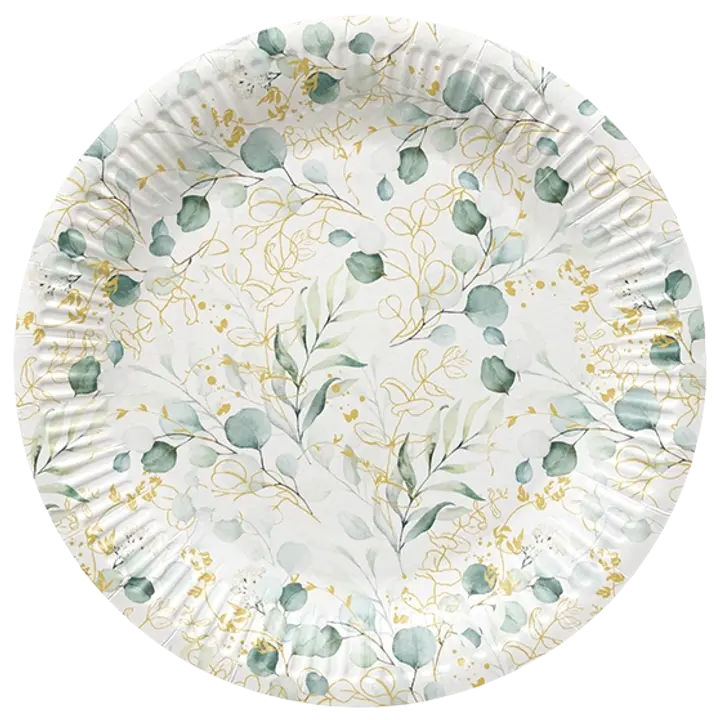 Suuri pahvilautanen eukalyptus 8 kpl/pkt