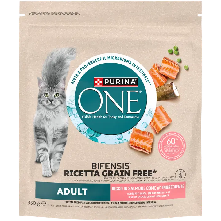 Purina One Grain Free Adult Lohta Kissan kuivaruoka 350g