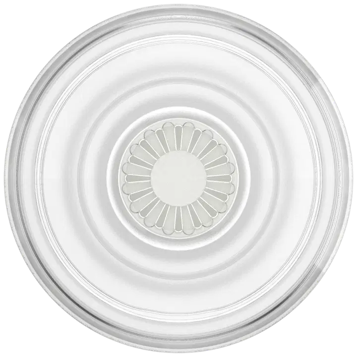 PopGrip Clear