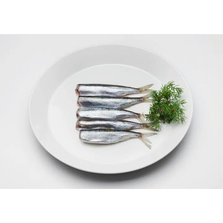 Hätälä Muikku perattu Perämeri n10kg