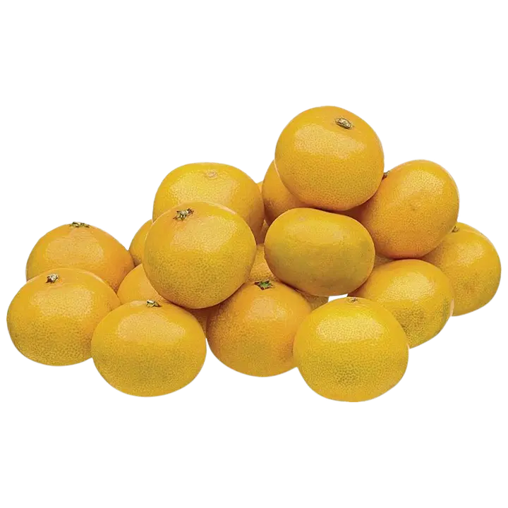 Satsuma I klass