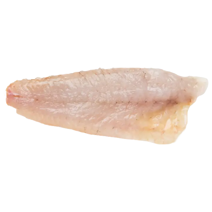 Kalamajakas Ümarmudilafilee nahaga kg, jahutatud