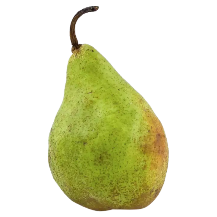 Pirn Xenia I klass