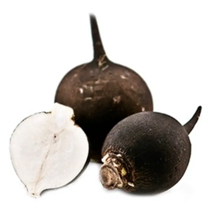 Mustrõigas