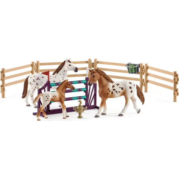 Turniiri treeningkomplekt ja appaloosa hobune