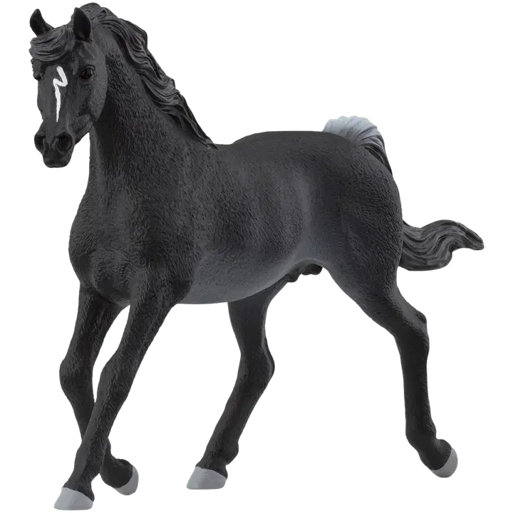 Haflinger mare
