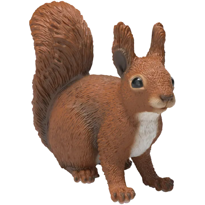 Orav