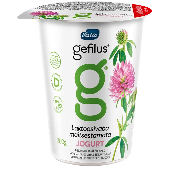 Gefilus Maitsestamata jogurt 2,5%, 380 g