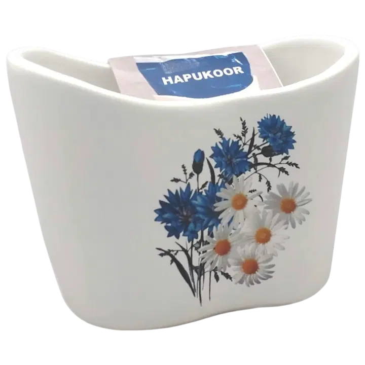 Koorepakihoidik