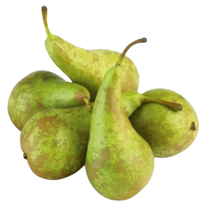 Pirn Conference I klass 1 kg