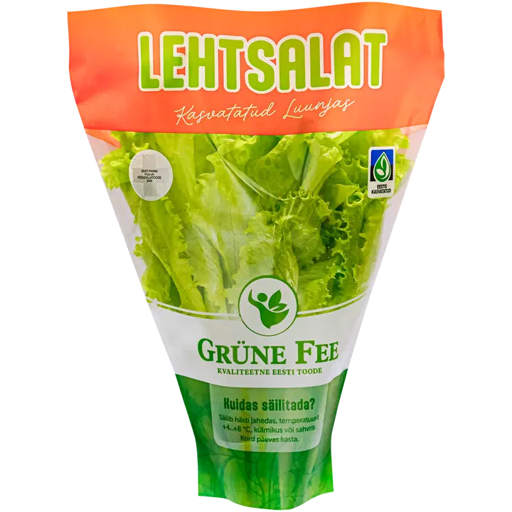 Lehtsalat potis Grüne Fee